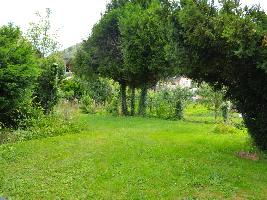 KB Immobilien - Inserat - Gronostraße - Gartenansicht 2